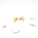 PUCES D'OREILLE CHAT
