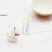 MON PETIT CANARD BLANC