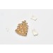 MON JOLI PINS PIGNE DE PIN